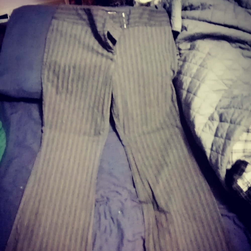 Dress pants